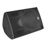 Beta 3 N12F 12inch full range speaker