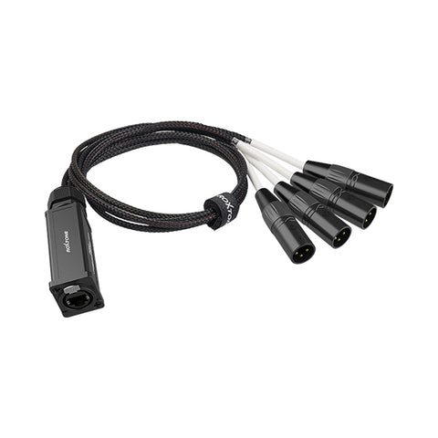 ROXTONE – CAT SNAKE SPLITTER 4 CHANNEL XLR MALE TO ETHERCON NETWORK CABLE