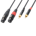 Signal cable 2- XLR Female - 2 - RCA 1.5Mtr