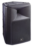 Beta 3 TS300 12inch fullrange speaker all purpose